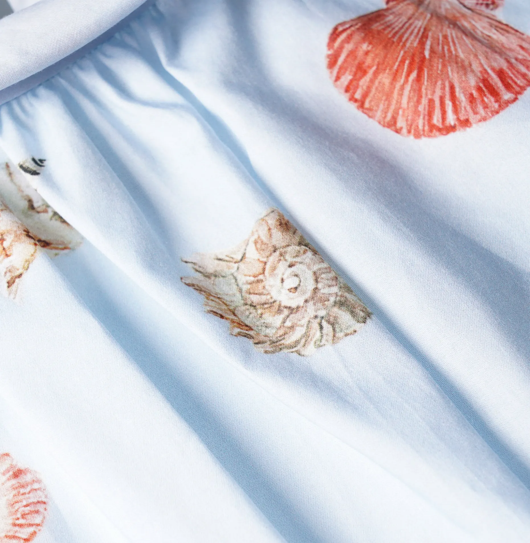 Blusa Conchinhas|LION OF PORCHES Discount