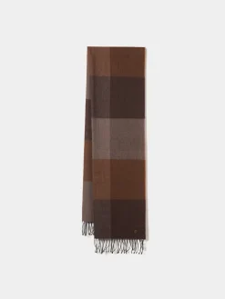 Cachecol tricolor com franjas|LION OF PORCHES Store