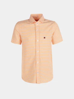 Camisa|LION OF PORCHES New