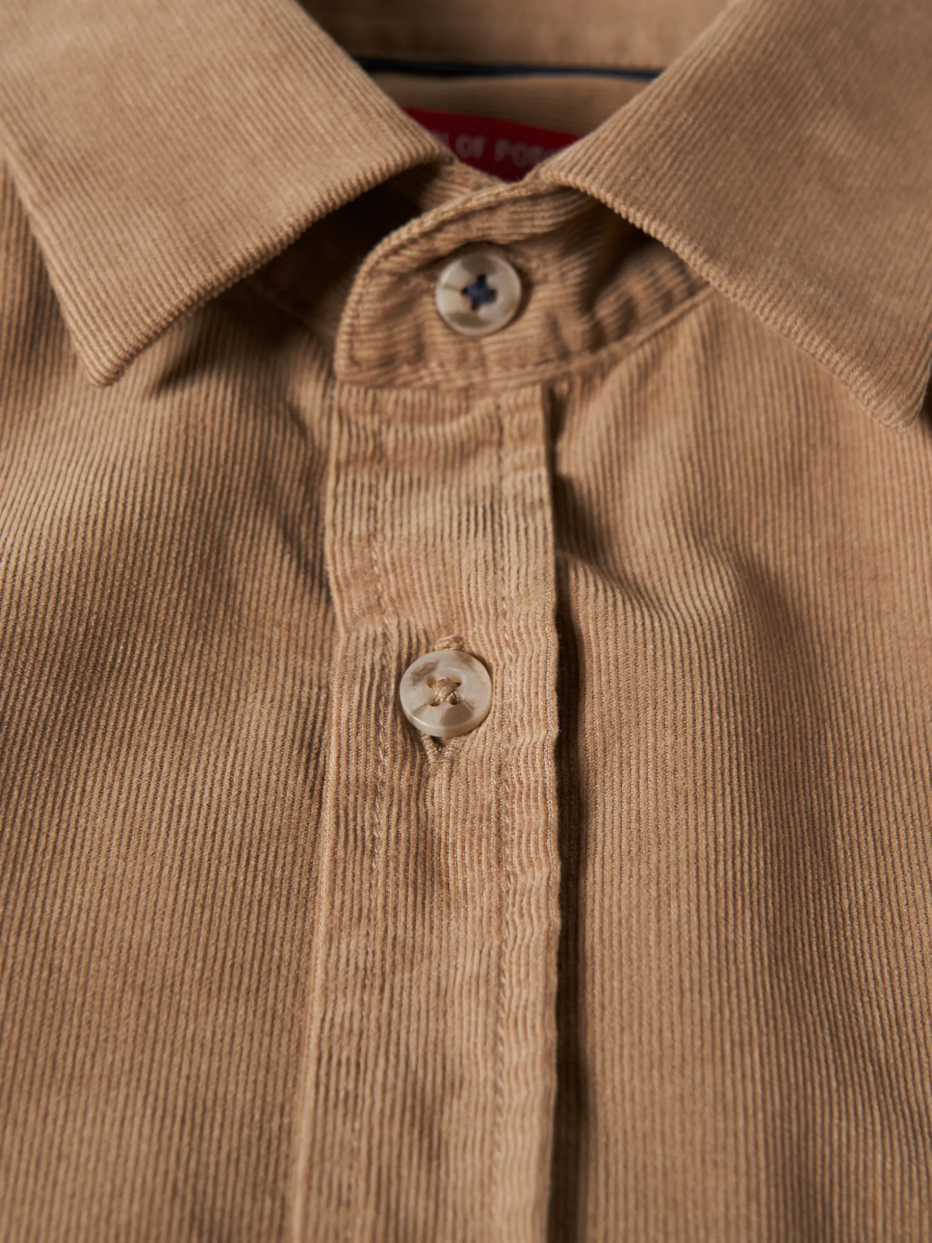 Camisa de bombazine em algodão|LION OF PORCHES Clearance