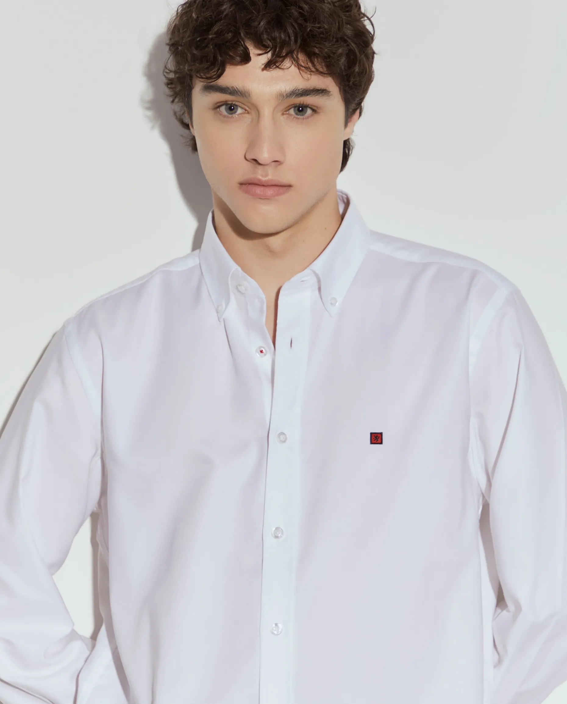 Camisa oxford regular fit|LION OF PORCHES Flash Sale