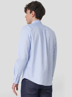 Camisa oxford regular fit|LION OF PORCHES Hot