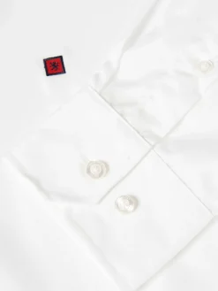 Camisa regular fit em algodão|LION OF PORCHES Discount