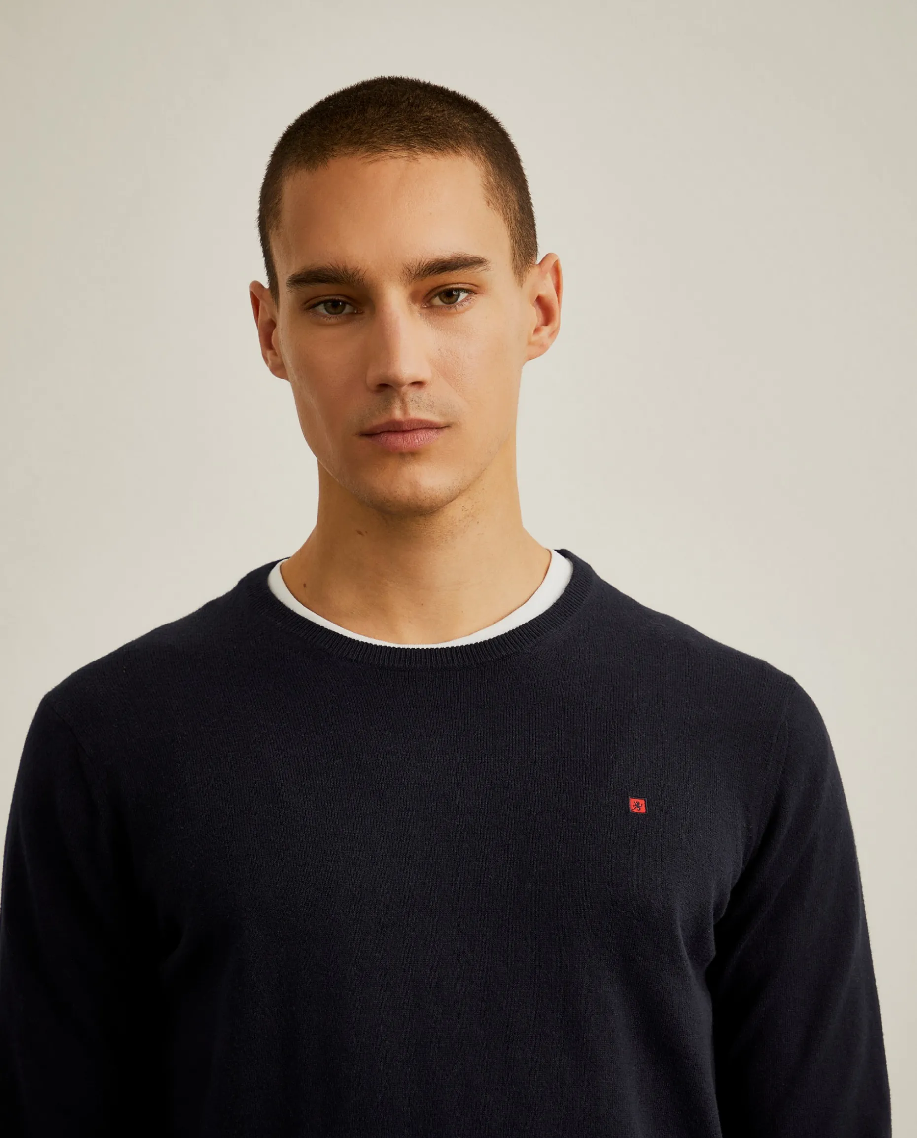 Camisola de algodão e caxemira|LION OF PORCHES Online