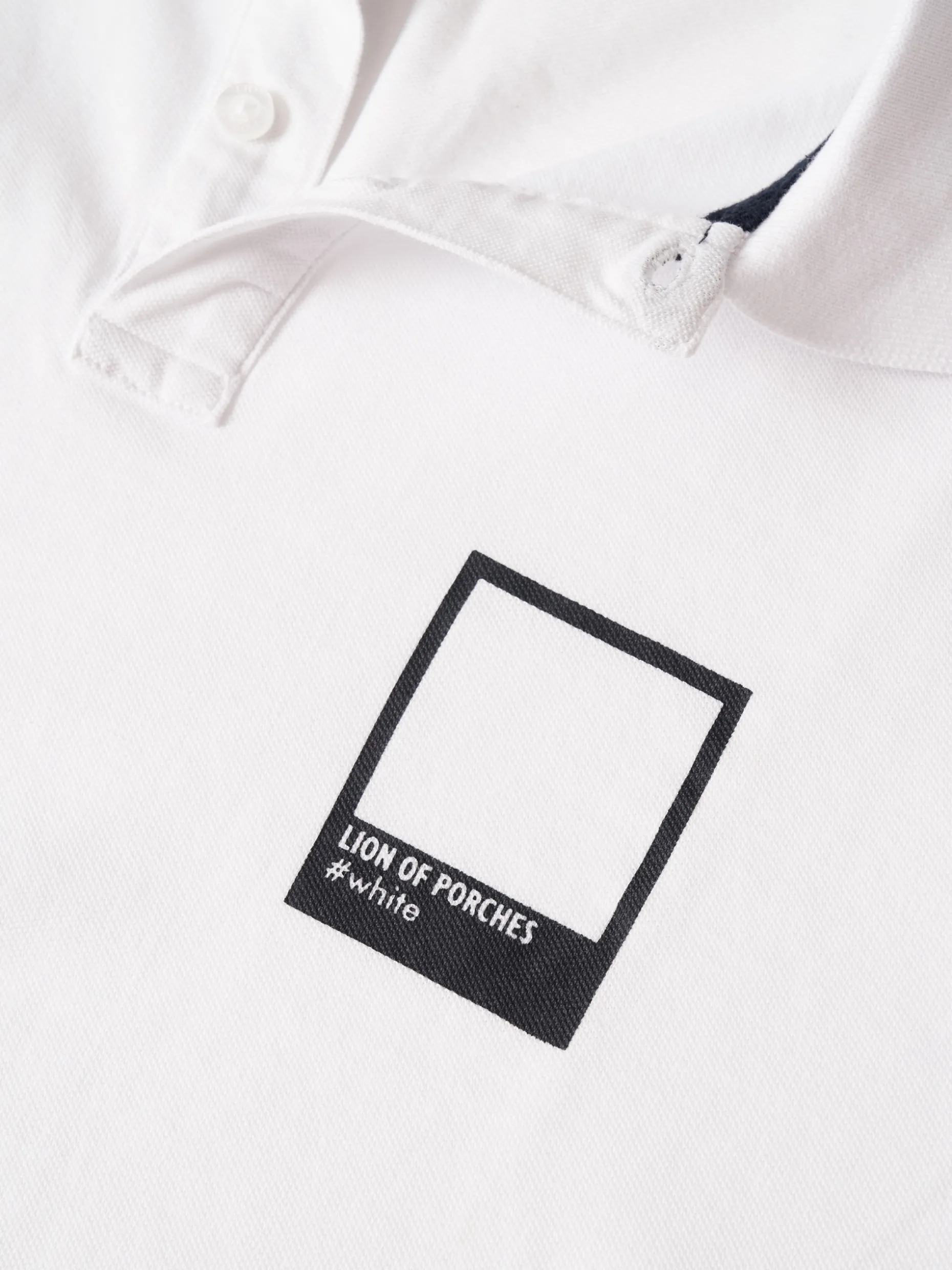 Polo|LION OF PORCHES Best