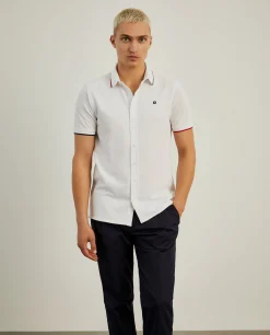 Polo camisa em algodão com riscas|LION OF PORCHES Flash Sale
