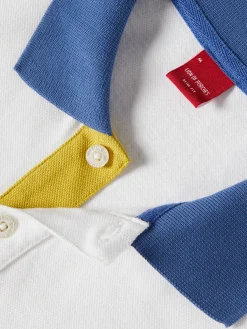 Polo piqué slim fit multicolor|LION OF PORCHES Hot