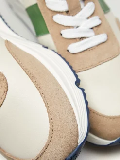 Sapatilha multicolor|LION OF PORCHES Fashion