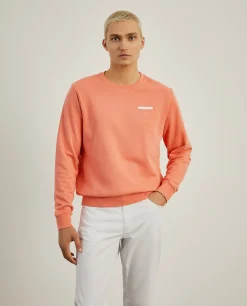 Sweater básica de algodão|LION OF PORCHES New