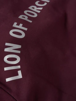 Sweater com capuz ajustável|LION OF PORCHES New
