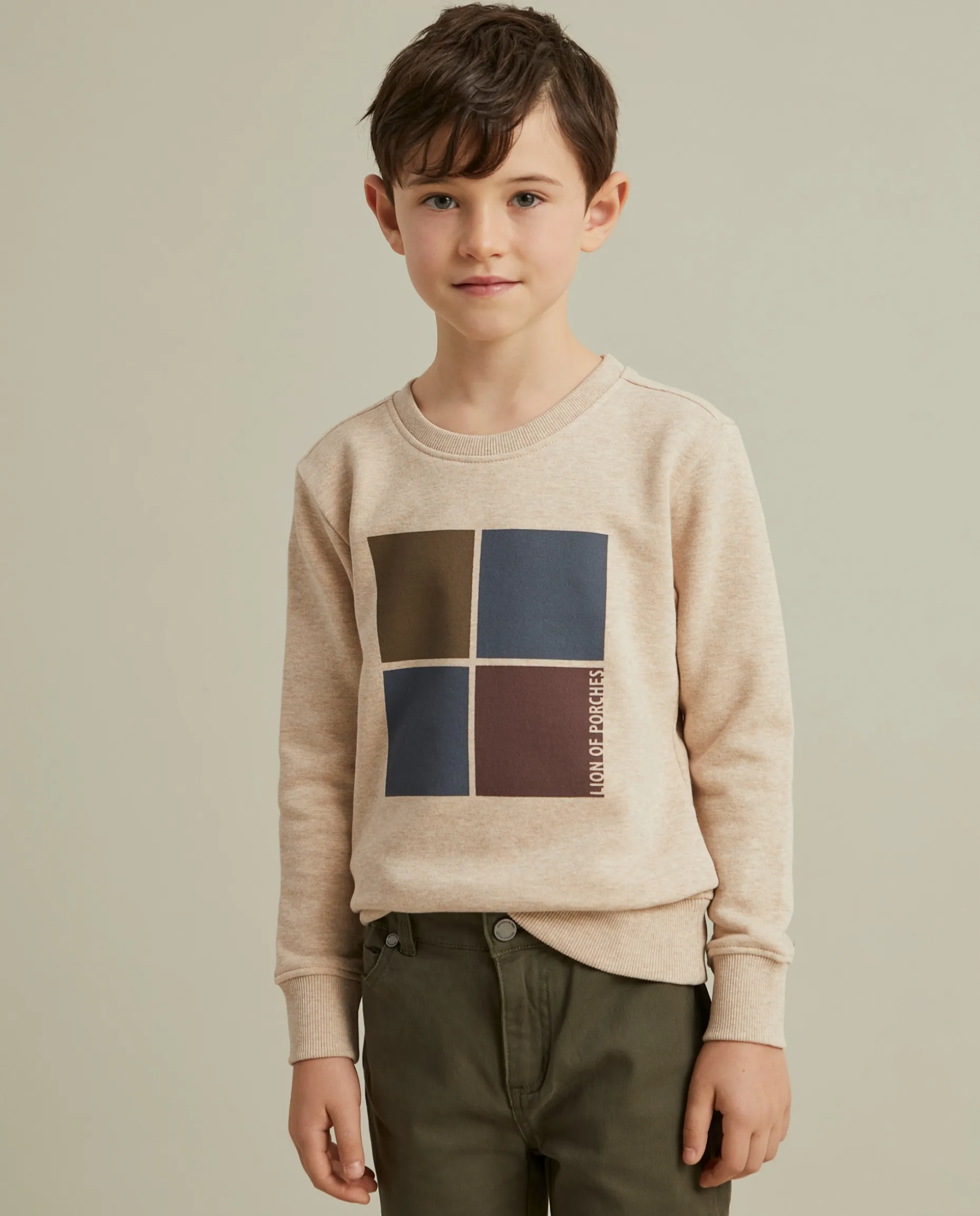 Sweater de algodão com estampado|LION OF PORCHES Clearance