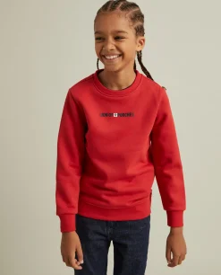 Sweater manga comprida|LION OF PORCHES Outlet