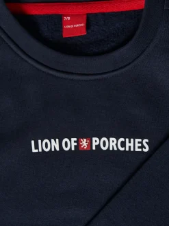 Sweater manga comprida|LION OF PORCHES Best